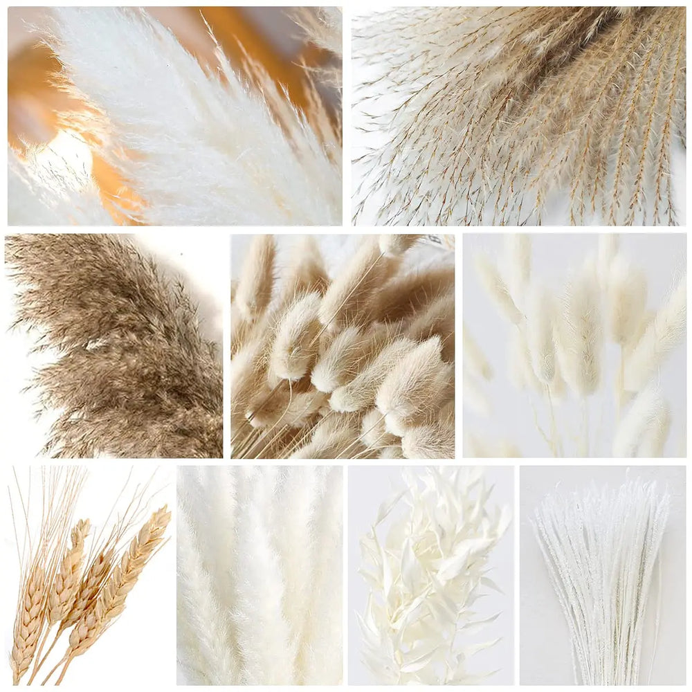 Natural Pampas & Dried Flowers Bouquet - 80pcs
