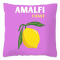 Luxury Home Travel Decor Pillows