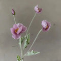 Artificial Poppy Silk Flowers