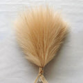 Faux Pampas Grass