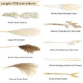Natural Pampas & Dried Flowers Bouquet - 80pcs